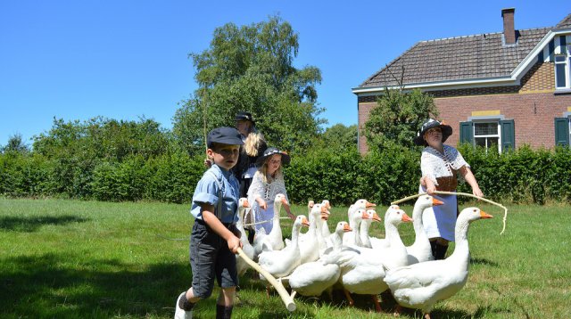 Ganzenmarkt (zondag  1 juli 2018)